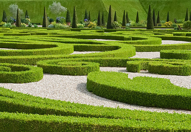 istock Panoramic view of the Frederiksborg garden 153753161