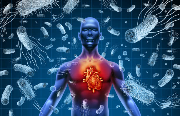 Heart And Bacteria Heart And Bacteria or Bacterial Endocarditis and septicemia or sepsis as blood poisoning due to germs with 3D illustration elements. endocarditis stock pictures, royalty-free photos & images