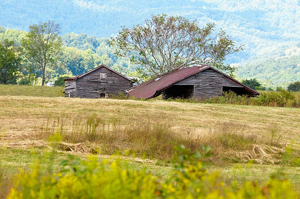 Two Barns in a Distance stock photo