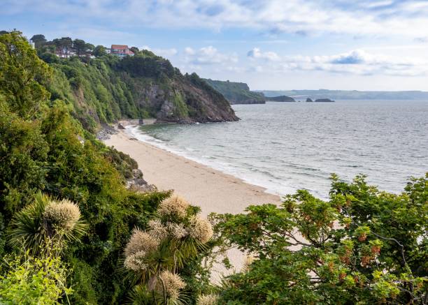 istock Tenby town, Wales 1537539029
