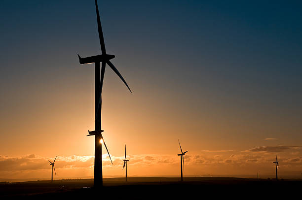 Vento e turbinas em um campo ao pôr-do-sol - foto de acervo