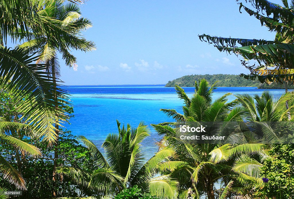 Tropical trees against a blue ocean unbelievable colourful sea sourrounded of tropical green flora Beach Stock Photo