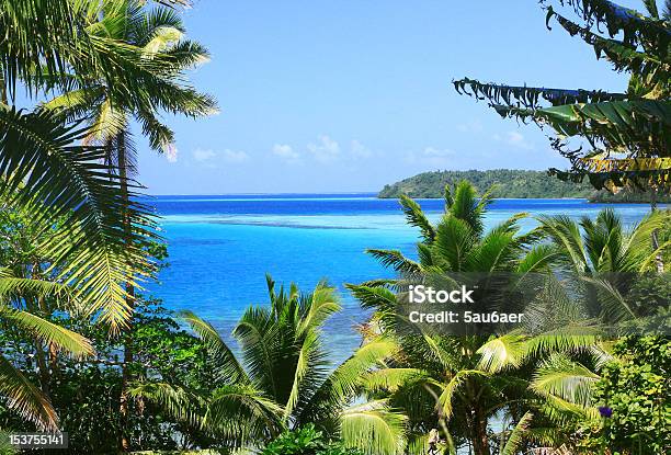 Tropical Trees Against A Blue Ocean Stock Photo - Download Image Now - Beach, Blue, Caribbean
