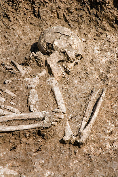 istock Grave of human skeleton 153755297