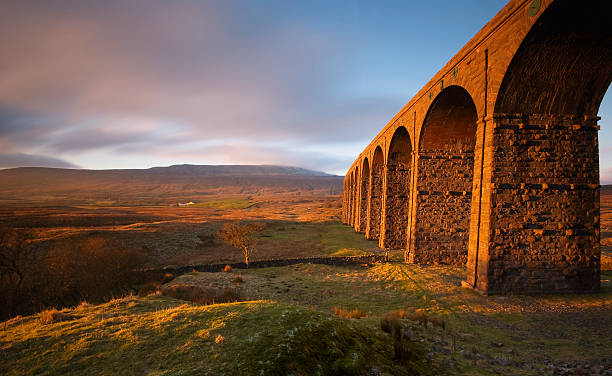 viadotto di ribblehead ii - hill grass heath moor foto e immagini stock