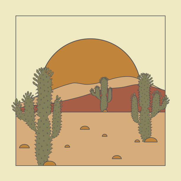 illustrations, cliparts, dessins animés et icônes de illustration esthétique minimaliste avec cactus dans le désert - valley type