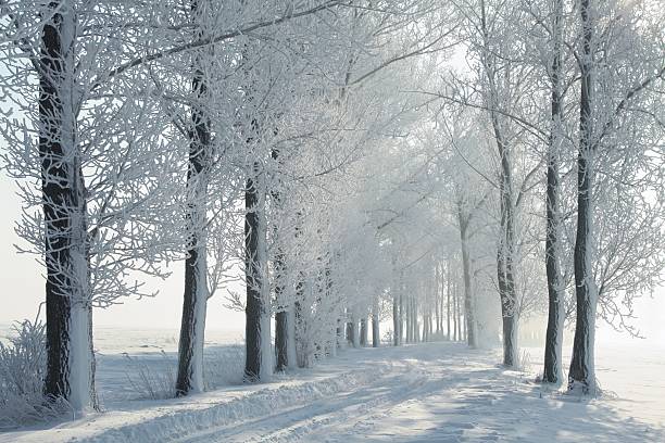 istock Winter country road 153755804