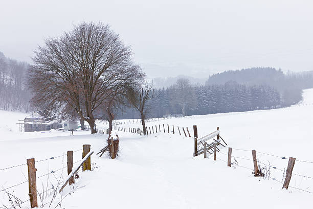 Cтоковое фото Зима в Арденны