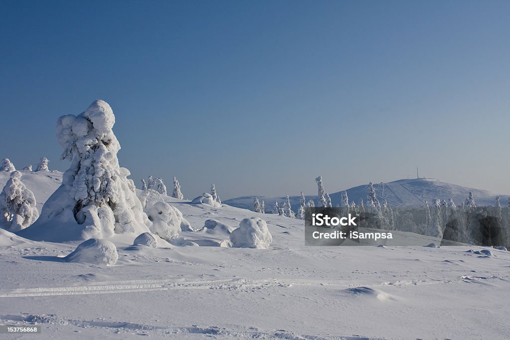 Mt. Yllas w Fińska Laponia - Zbiór zdjęć royalty-free (Finlandia)