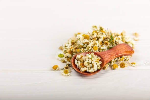 istock Dried chamomile tea in a bowl on a texture table.dry chamomile. Chamomile tea. flat lay. Composition with a bouquet and chamomile inflorescences in a mortar. Herbal drink. Soothing and tonic tea. 1537571013