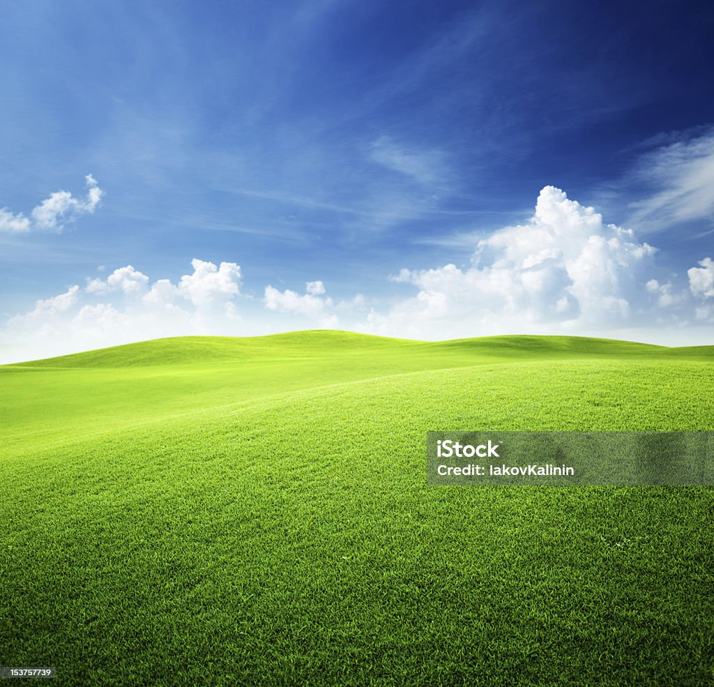 Grünen Feld und blauer Himmel - Lizenzfrei Gras Stock-Foto