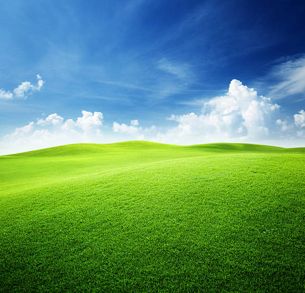 grünen feld und blauer himmel - anhöhe stock-fotos und bilder