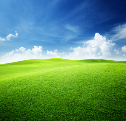 Campo verde y azul cielo photo