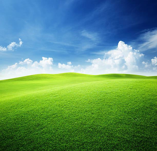 campo verde e cielo blu - green slopes foto e immagini stock