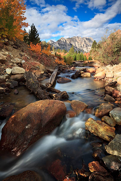 istock Autumn creek in California mountains 153758090