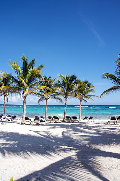 Beach chairs by the Caribbean Sea stock photo
