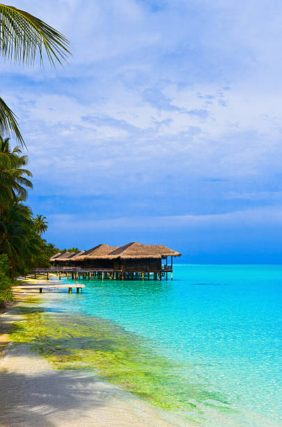 istock Water bungalows on a tropical island 153758300