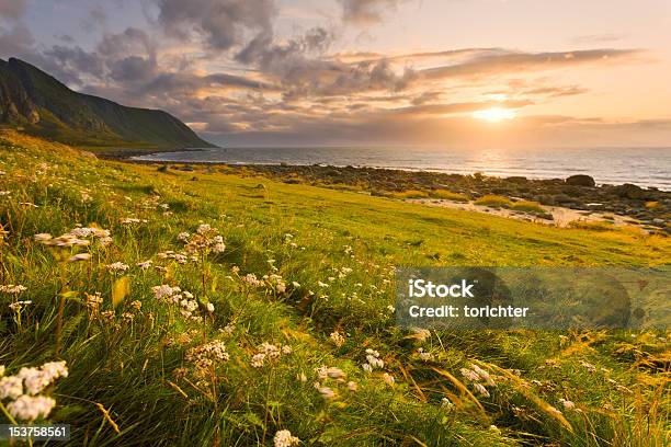 Lofoten Sunset Stock Photo - Download Image Now - Atlantic Ocean, Beach, Cloud - Sky