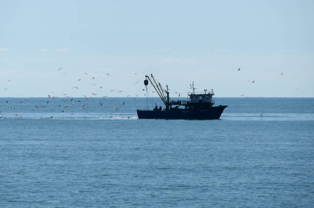 istock fishing ship in the Black Sea 1537587247