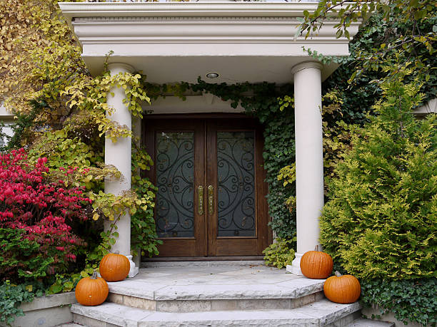 istock Front door with vines and pumpkins 153759212