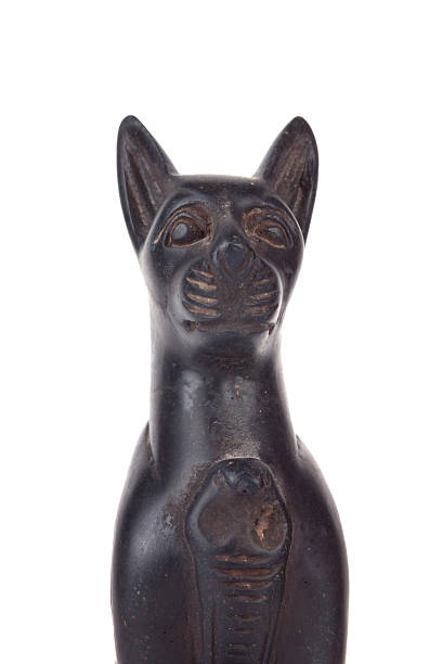 istock Black Egyptian cat, fragment 153759490