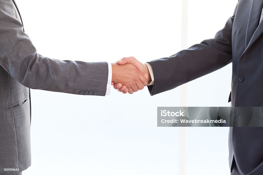 close up of businessmen shaking their hands after a meeting close up of businessmen shaking their hands after a meeting at the office Adult Stock Photo