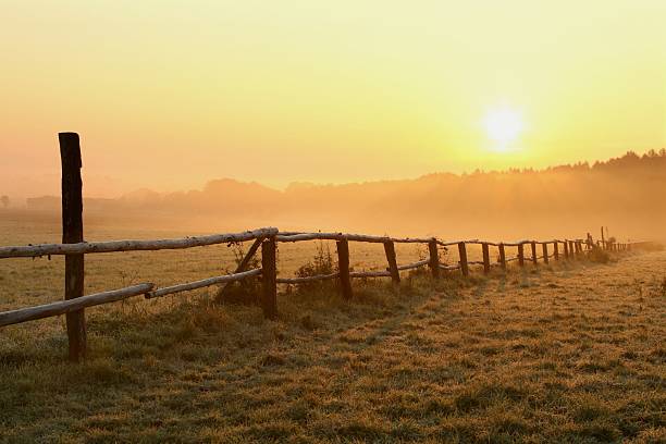Misty sunrise over the field with idyllic fence in the foreground. Photo taken in October.