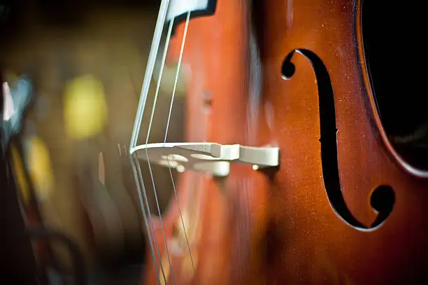 Closeup of Cello