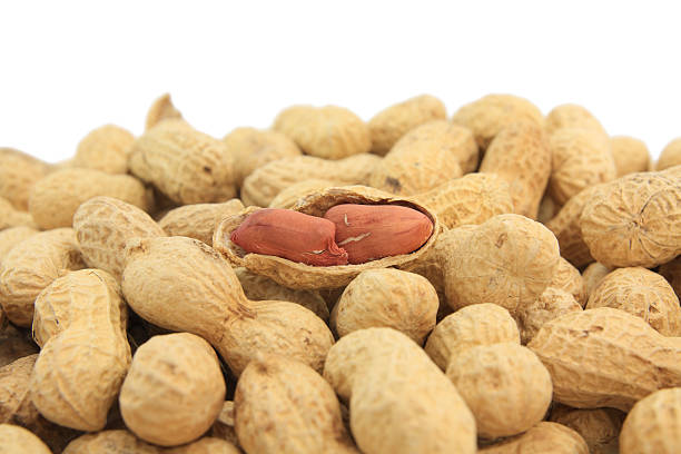 Peanut Shell Pile isolated on white stock photo