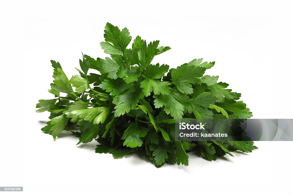 Herb serie Coriander de Cilantro - Foto de stock de Alimento libre de derechos