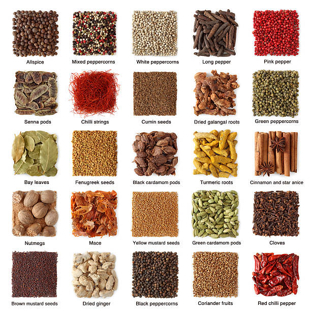 istock Indian spices collection with titles 153760482