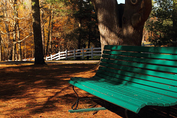 Park Bench – Foto