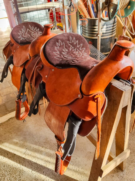 istock Panama, Boquete, decorated two seater saddle 1537629358