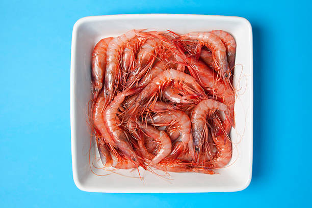Shrimps stock photo
