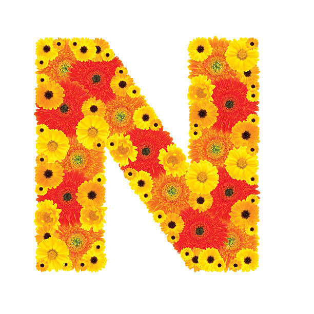 Flower Alphabet N Stock Photo - Download Image Now - Alphabet, Cut Out,  Flower - iStock