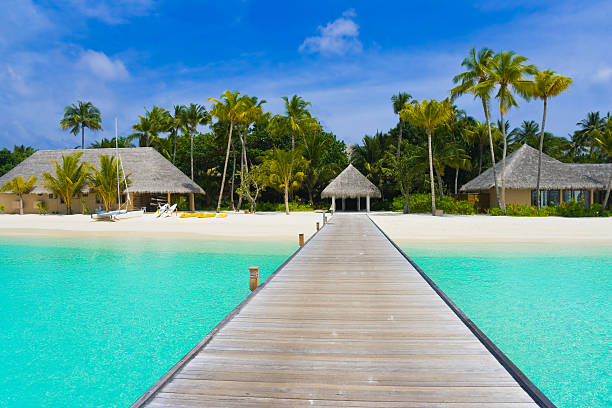 istock Beach bungalows on a tropical island 153764523