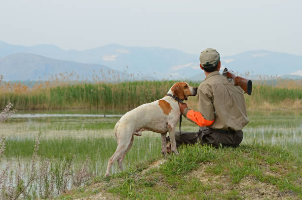 istock The hunter and the hunting dog are resting. 1537650147