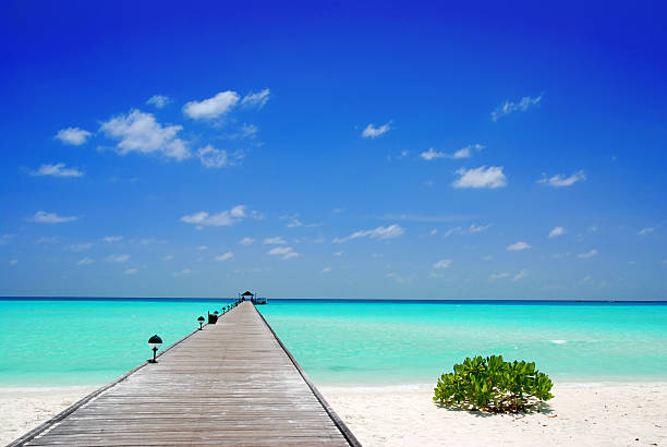 istock Jetty in the Maldives 153765056