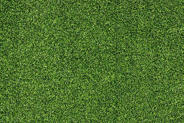 Grass stock photo
