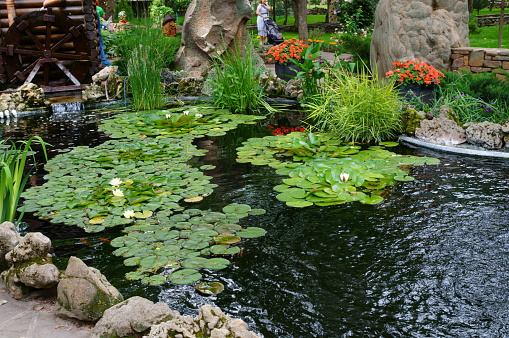 A tropical garden with flowers, ferns, trees and a waterfall.