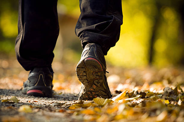 istock Hiking in autumn forest 153766540