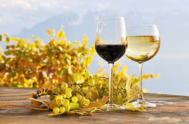 Two glasses of wine Two glasses of wine and bunch of grapes. Lavaux region, Switzerland montreux photos stock pictures, royalty-free photos & images