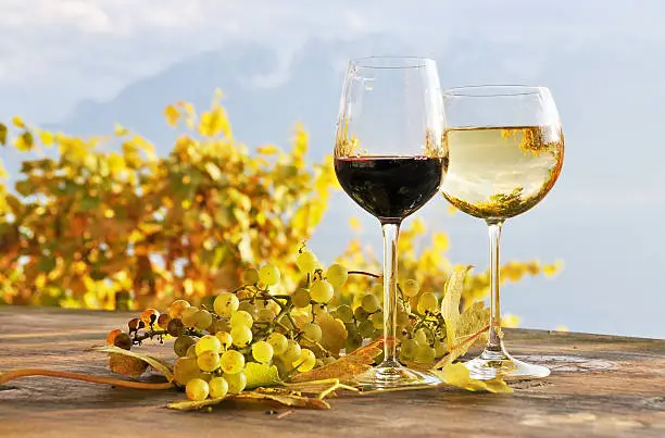 Photo of Two glasses of wine