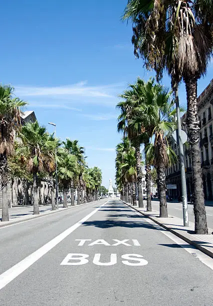 View on a long taxi nad bus lane in Barcelona during a sunny day