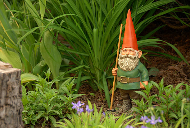 Garden gnome garden gnome with rake and orange pointed cap garden feature stock pictures, royalty-free photos & images
