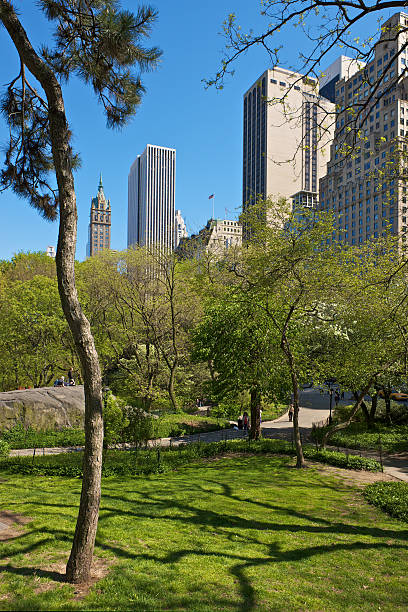 istock New York seen from Central Park 153767423