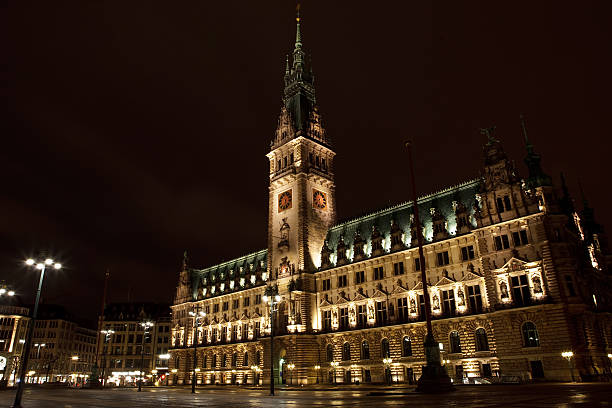 istock Hamburg City Hall 153767772