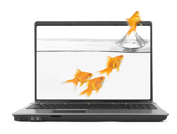 istock goldfish jumping out of the notebook 153767782