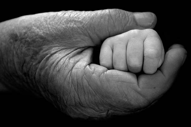 youth and old age. Hands of grandmother and granddaughter. High quality photo