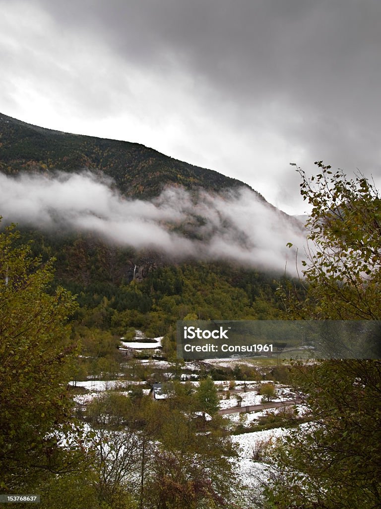 Niebla matutina - Foto de stock de Aire libre libre de derechos